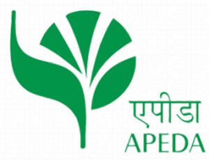 the logo of the company apeda.